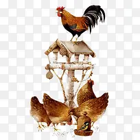 �����廭-������