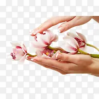 �������ʻ���-������