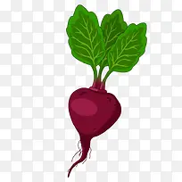 手绘卡通蔬菜 萝卜-空若网 手绘卡通蔬菜 萝卜-空若网