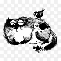 一只可爱的小猫-空若网 一只可爱的小猫-空若网