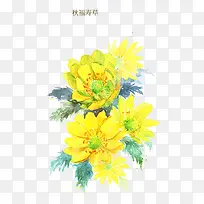 �︣�ٲ�-������