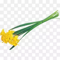 �л�ֲ�ﾥֲ��ˮ��-������