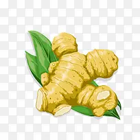 卡通产品食物调料姜-空若网 卡通产品食物调料姜-空若网