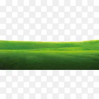 装饰元素 小草 草坪 绿色-空若网 装饰元素 小草 草坪 绿色-空若网