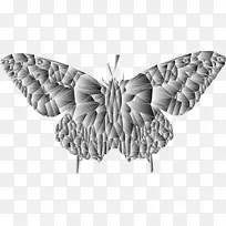 �����;ۼ����ͼ��-�;�-������