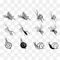 用线条画出的昆虫-空若网 用线条画出的昆虫-空若网