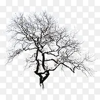 ��֦��ãã��������-������