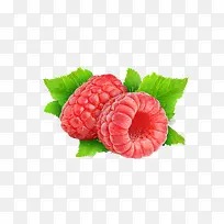 水果-空若网 水果-空若网