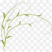 ϸСÊ÷Ѿ-¿ÕÈôÍø ϸСÊ÷Ѿ-¿ÕÈôÍø