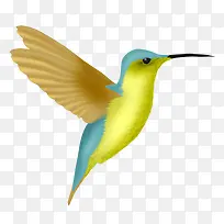 手绘翠鸟-空若网 手绘翠鸟-空若网