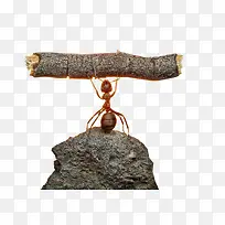 ÂìÒÏ-¿ÕÈôÍø ÂìÒÏ-¿ÕÈôÍø