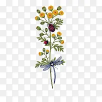 �ֻ��ʻ��ϵ�����-������