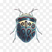 粉绿色甲虫-空若网 粉绿色甲虫-空若网