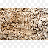 ������Ƥ��������-������