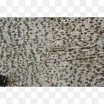 树干背景-空若网 树干背景-空若网