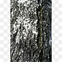 ������������-������