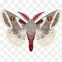 飞蛾矢量-空若网 飞蛾矢量-空若网