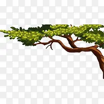 ¿¨Í¨Ê÷Ö¦Ò¶×Ó-¿ÕÈôÍø ¿¨Í¨Ê÷Ö¦Ò¶×Ó-¿ÕÈôÍø