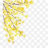 矢量银杏叶-空若网 矢量银杏叶-空若网