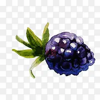 手绘水果-空若网 手绘水果-空若网