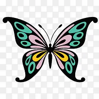 ��ɫ�Գ�ʸ������-������