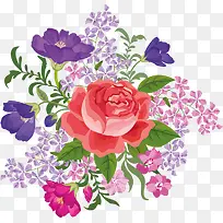 彩色的花卉-空若网 彩色的花卉-空若网