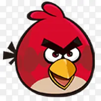 愤怒的小鸟-空若网 愤怒的小鸟-空若网