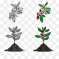 卡通咖啡树秒图片素材-空若网 卡通咖啡树秒图片素材-空若网