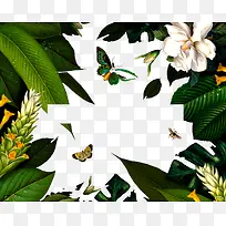 绿色花从背景-空若网 绿色花从背景-空若网