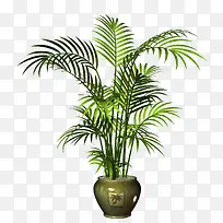 树-空若网 树-空若网