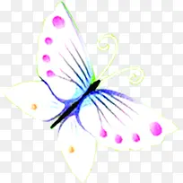 彩色斑点白色蝴蝶-空若网 彩色斑点白色蝴蝶-空若网