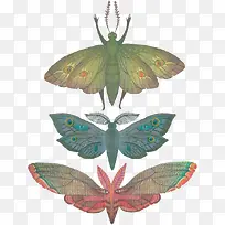 ��ͨ����-������