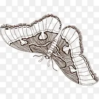 ���ƶ���-������