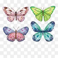 ʸ���ֻ��-������