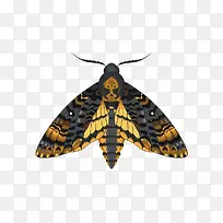 �ֻ����-������