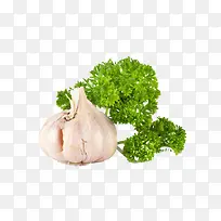 蔬菜-空若网 蔬菜-空若网