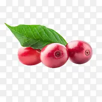 红色反光的咖啡果实物-空若网 红色反光的咖啡果实物-空若网