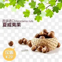 夏威夷果海报素材下载-空若网 夏威夷果海报素材下载-空若网