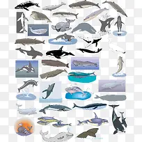 ��ͨ����ʸ���زļ���-������