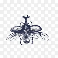 矢量黑色昆虫-空若网 矢量黑色昆虫-空若网