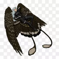 鸟羽翼喙缘-空若网 鸟羽翼喙缘-空若网