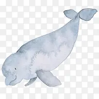 手绘鱼儿-空若网 手绘鱼儿-空若网