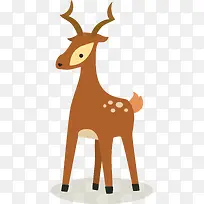 动物-空若网 动物-空若网