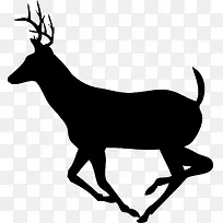 奔跑的鹿-空若网 奔跑的鹿-空若网