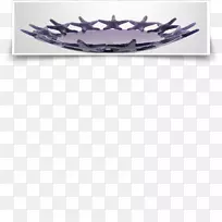 碗玻璃海星紫罗兰海星-空若网 碗玻璃海星紫罗兰海星-空若网