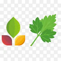 ʸ����ɫ�߲�Ҷ��-������