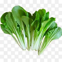 健康小白菜-空若网 健康小白菜-空若网