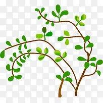 矢量绿植装饰免费图片-空若网 矢量绿植装饰免费图片-空若网