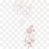 ֽ����-������