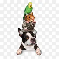 ����-������